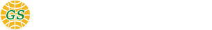 GLBAL STAR